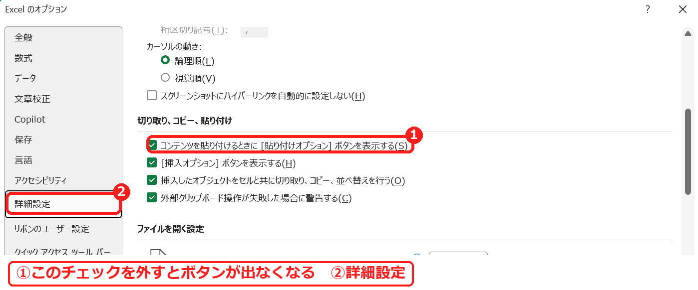 エクセルのオプションの詳細設定で貼り付けオプションボタンを表示する設定